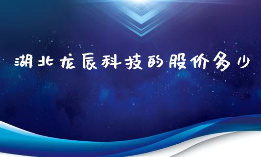 湖北龙辰科技的股价多少_https://wap.gongyisiwang.com_大盘分析_第1张