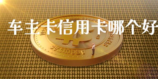 车主卡信用卡哪个好_https://wap.gongyisiwang.com_理财规划_第1张