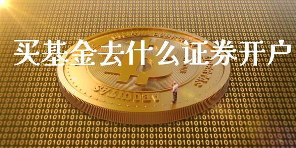 买基金去什么证券开户_https://wap.gongyisiwang.com_概念板块_第1张